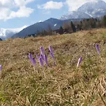 Na Brzyzku Appartamento