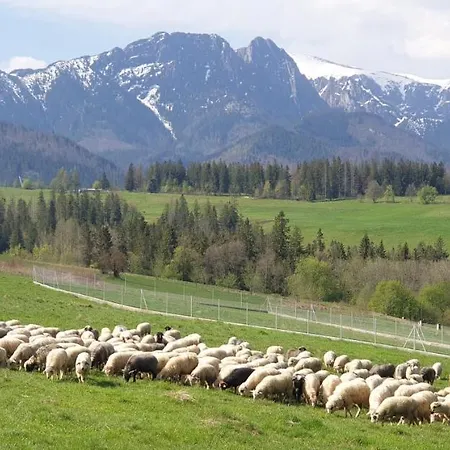 Na Brzyzku * Zakopane