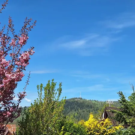 Apartmán Na Brzyzku