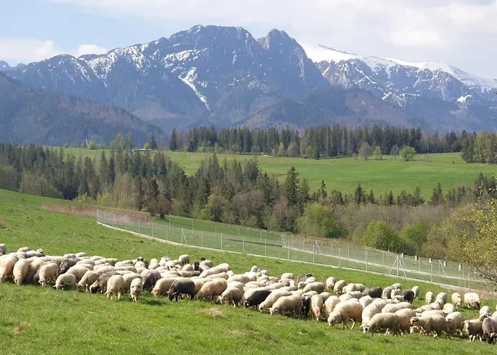 Na Brzyzku * Zakopane