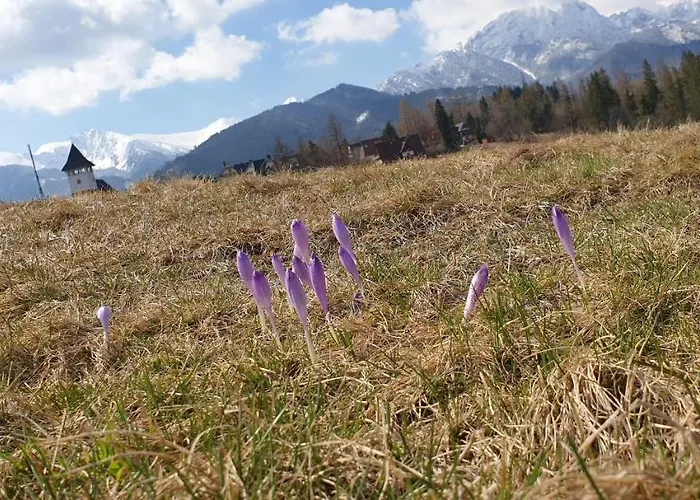 Na Brzyzku Apartmán